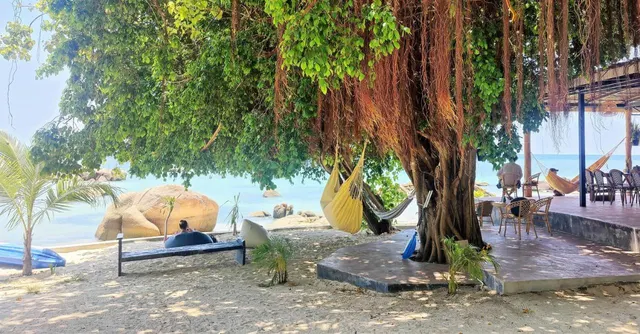 Ocean Vibes Resort, photo 2
