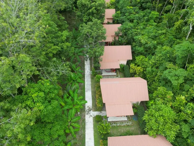 Zabit Bungalow, photo 2