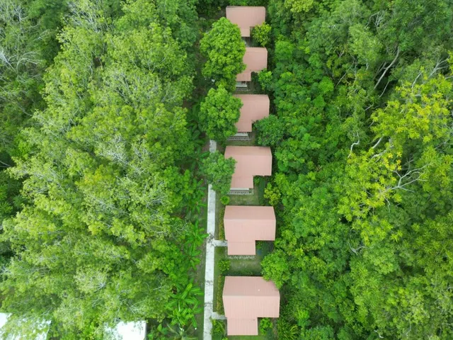 Zabit Bungalow, photo 3